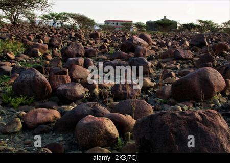 Maleha desert. Maleha is a big dunes in Sharjah, UAE. Fossil rock or pink rock is a hard rock structure right in between sand dunes, an natural wonder Stock Photo