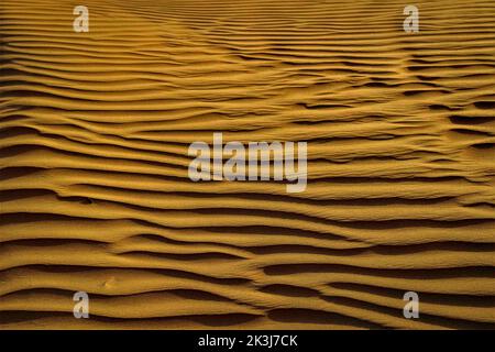 Maleha desert. Maleha is a big dunes in Sharjah, UAE. Fossil rock or pink rock is a hard rock structure right in between sand dunes, an natural wonder Stock Photo