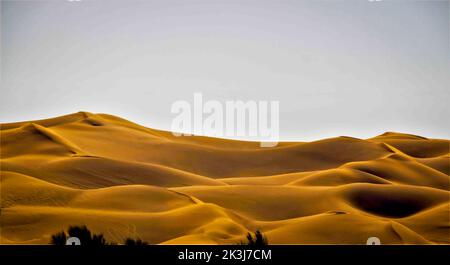 Maleha desert. Maleha is a big dunes in Sharjah, UAE. Fossil rock or pink rock is a hard rock structure right in between sand dunes, an natural wonder Stock Photo