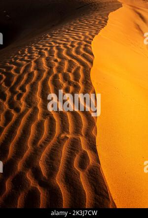 Maleha desert. Maleha is a big dunes in Sharjah, UAE. Fossil rock or pink rock is a hard rock structure right in between sand dunes, an natural wonder Stock Photo