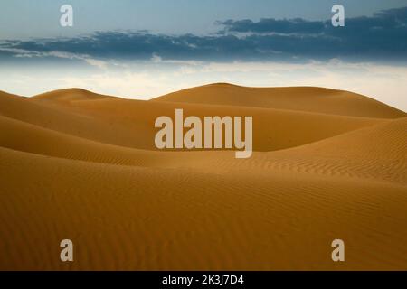 Maleha desert. Maleha is a big dunes in Sharjah, UAE. Fossil rock or pink rock is a hard rock structure right in between sand dunes, an natural wonder Stock Photo