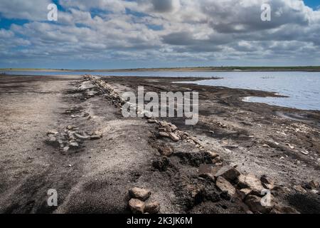 The remains of an old Cornish Hedge wall exposed by falling water levels caused by severe drought conditions at Colliford Lake Reservoir on Bodmin Moo Stock Photo