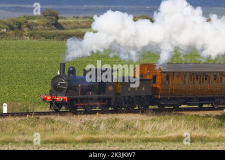 Steam locomotive GER Y14 0-6-0 – 564 pulling a train of LNER Quad Art Set 48661-4 on the North Norfolk Railway Stock Photo