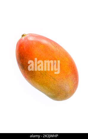Mango fruit on white background Stock Photo
