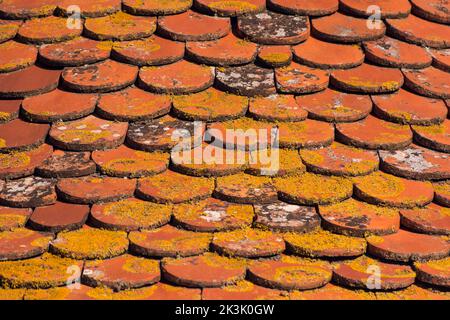 Scenic view of the roof tiles of an old church in south of France during sunny day Stock Photo