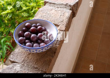 Cherry plum, prunus cerasifera, in a bowl, on a wall, Hungary Stock Photo