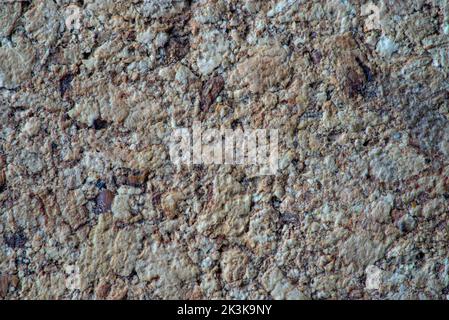 texture in detail, beige cork material close up Stock Photo