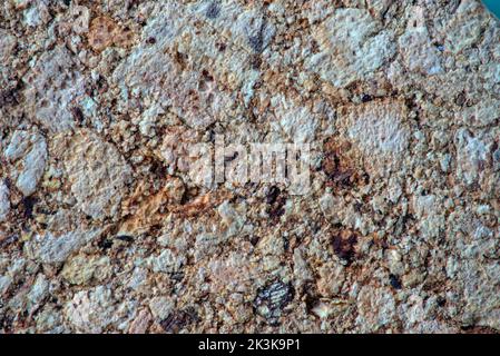 texture in detail, beige cork material close up Stock Photo