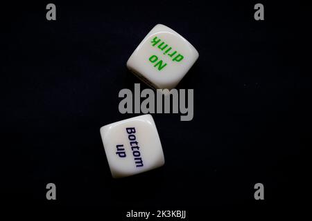 Drinking dice game isolated on black background Stock Photo