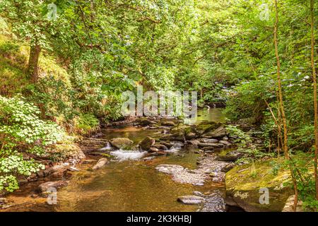 The East Lyn River beside the Coleridge Way on Exmoor National Park at Rockford, Devon UK Stock Photo