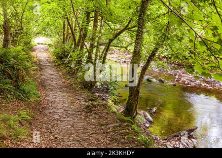 A stone paved section of The Coleridge Way beside the East Lyn River on Exmoor National Park between Brendon and Rockford, Devon UK Stock Photo