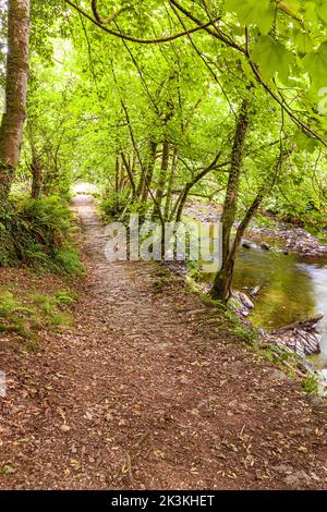 A stone paved section of The Coleridge Way beside the East Lyn River on Exmoor National Park between Brendon and Rockford, Devon UK Stock Photo