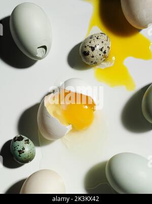 Broken eggs shot overhead Stock Photo