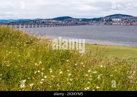 Dundee and the Tay Road Bridge seen from the south side of the Firth of Tay. Stock Photo