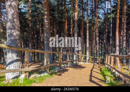 La Garganta forest Wooden Handrail. Magic place in the heart of Ambroz Valley, Banos de Montemayor, Caceres, Extremadura, Spain Stock Photo