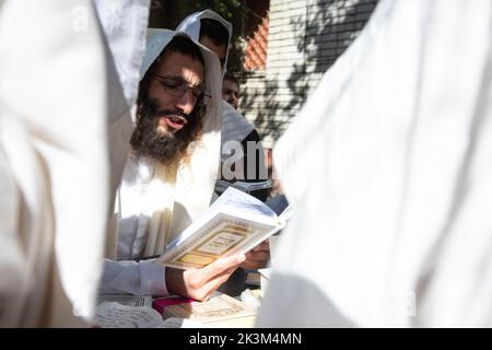 Uman, Ukraine. 26th Sep, 2022. Ultra-Orthodox Jewish pilgrim prays during the celebration of the Rosh Hashanah holiday, the Jewish New Year in Uman. Every year, thousands of Orthodox Bratslav Hasidic Jews from different countries gather in Uman to mark Rosh Hashanah, Jewish New Year, near the tomb of Rabbi Nachman, a great-grandson of the founder of Hasidism. Credit: SOPA Images Limited/Alamy Live News Stock Photo