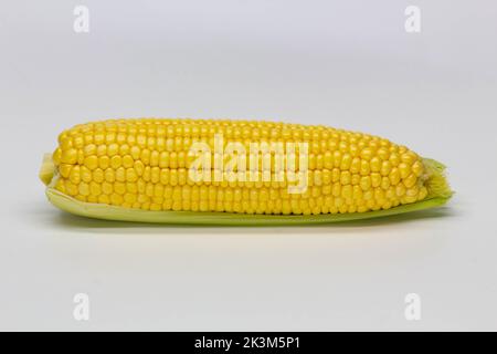 Single ear of corn isolated on white background. Isolated. Package design element. Sweet corn with husk. Close-up Stock Photo