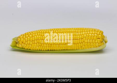 Single ear of corn isolated on white background. Isolated. Package design element. Sweet corn with husk. Close-up Stock Photo