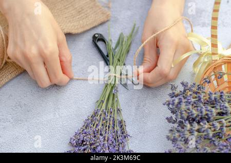 Step by step photo of a woman's hands tying a bouquet of lavender with twine. Making a fresh lavender bouquet Stock Photo