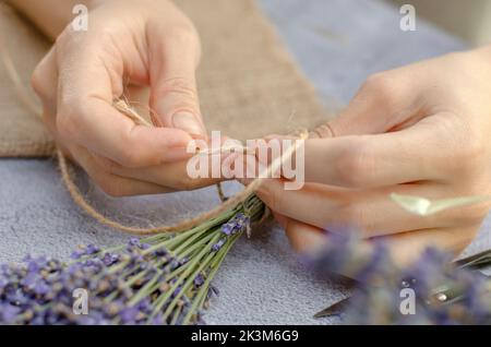 Step by step photo of a woman's hands tying a bouquet of lavender with twine. Making a fresh lavender bouquet Stock Photo