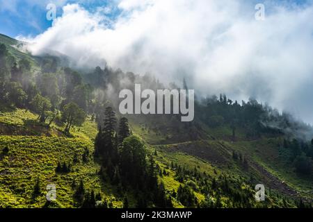 Drone view of thick white clouds floating over grassy valley and mountains with green trees on summer day in highlands Stock Photo
