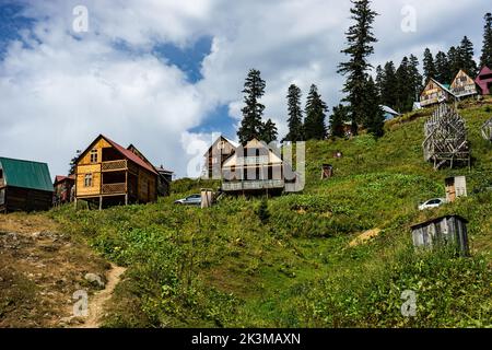 Low Angle Of Shabby Village Houses Located Near Green Coniferous Trees 