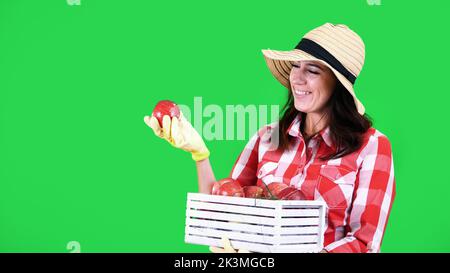 portrait of smiling female farmer in checkered shirt and hat, holding a wooden box with red ripe organic apples, on green background in studio. Healthy food to your table. High quality photo Stock Photo