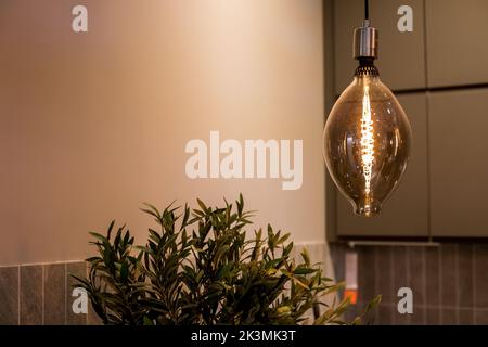 Vintage LED lamp in the interior of the kitchen.Incandescent electric light globe hang on the ceiling.Burning an energy saving, incandescent edison Stock Photo