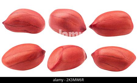 peanut isolated on white background, clipping path, full depth of field Stock Photo