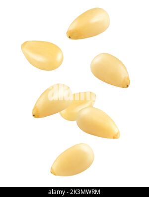 Falling Pine nuts isolated on white background, clipping path, full depth of field Stock Photo