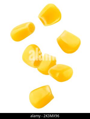 Falling corn seeds isolated on white background, clipping path, full depth of field Stock Photo