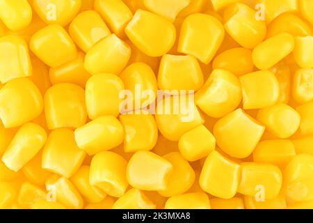 corn seeds, grain, high quality texture Stock Photo