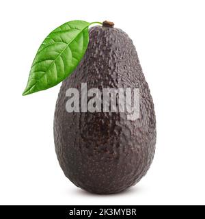avocado, clipping path, isolated on white background full depth of field Stock Photo