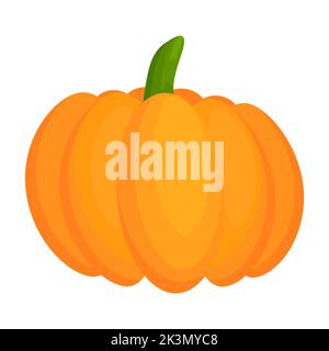 Pumpkin flat vegetable. Halloween harvest pumpkin. Vector isolated on white. Stock Vector