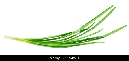 Green onion isolated on the white background, clipping path, full depth of field Stock Photo