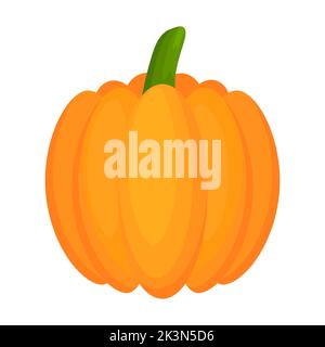Pumpkin flat vegetable. Halloween harvest pumpkin. Vector isolated on white. Stock Vector