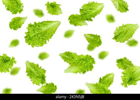 Falling Salad leaves, lettuce, isolated on white background, selective focus Stock Photo
