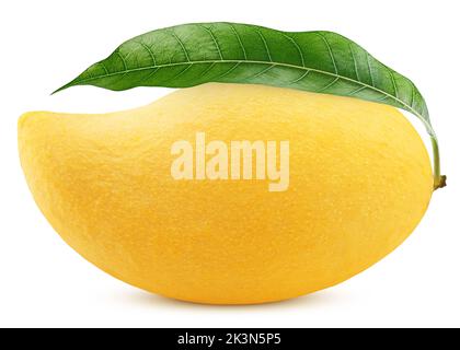 yellow mango isolated on white background, clipping path, full depth of field Stock Photo