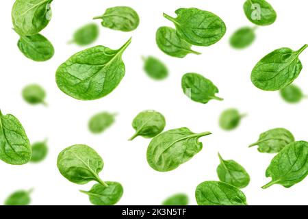 Falling Spinach isolated on white background, selective focus Stock Photo