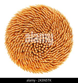 Wooden toothpicks in box, isolated on white background, clipping path, full depth of field Stock Photo