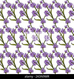 Seamless pattern with lavender sprigs. Vector floral background on white. Stock Vector