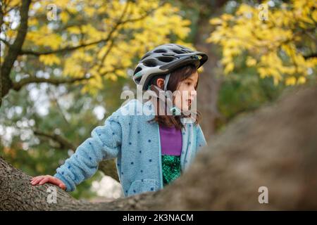 A little girl in bike helmet climbs a tree in autumn Stock Photo
