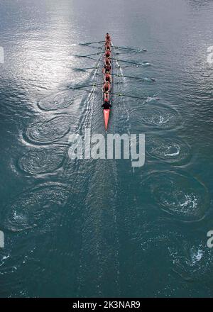 Sculling Rowing Overhead Image Aerial of sculling team rowing Stock Photo - Alamy