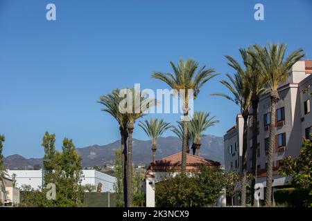 Palm framed view of the downtown area of Foothill Ranch in Lake Forest, California, USA. Stock Photo