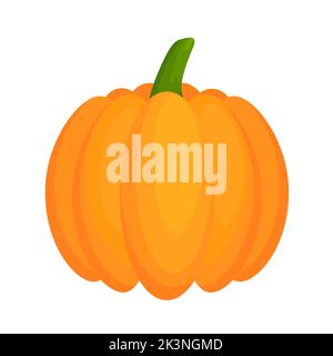 Pumpkin flat vegetable. Halloween harvest pumpkin. Vector isolated on white. Stock Vector