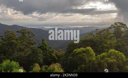 Aerial view of the D'aguilar National Park Stock Photo