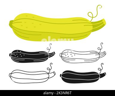 Zucchini cartoon linear icon set, doodle style, engraving silhouette. Symbol fresh vegetable marrow, organic oblong squash. Festival harvest agricultural hand drawn vegetable, courgette kitchen vector Stock Vector
