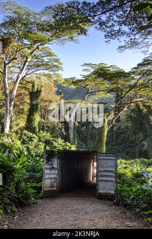 A shipping container used as a makeshift bridge on the Manoa Falls Trail outside Honolulu in Ohau, Hawaii Stock Photo