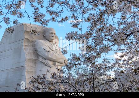The MLK Memorial at the Tidal Basin in Washington DC during the Cherry