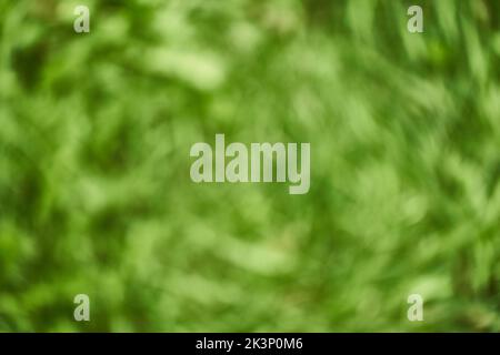 Blurred background of bokeh nature. Abstract natural background of a park or garden. Soft unfocused grass, made with a bokeh effect. High quality photo Stock Photo